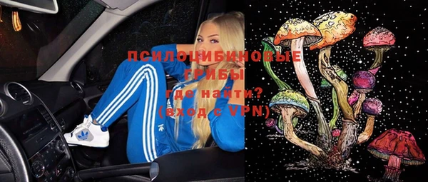 хмурый Алзамай