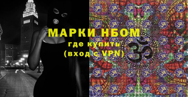 хмурый Алзамай