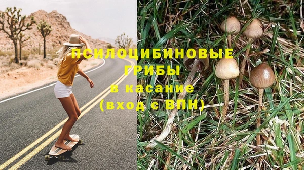 хмурый Алзамай