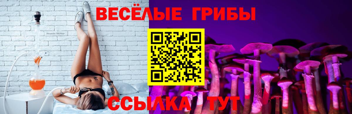 Кулебаки  Псилоцибиновые грибы Psilocybine cubensis  Псилоцибиновые грибы мухоморы  Вход с VPN 